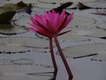 ภาพโดย(T.suwan)